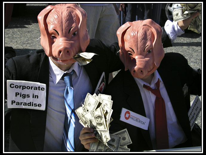 corporate pigs