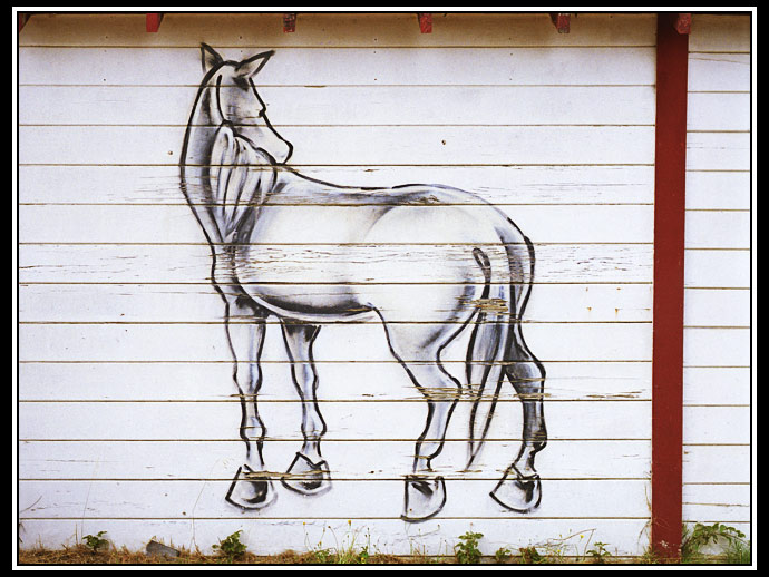 horse graffiti