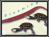 turtle dreaming icon